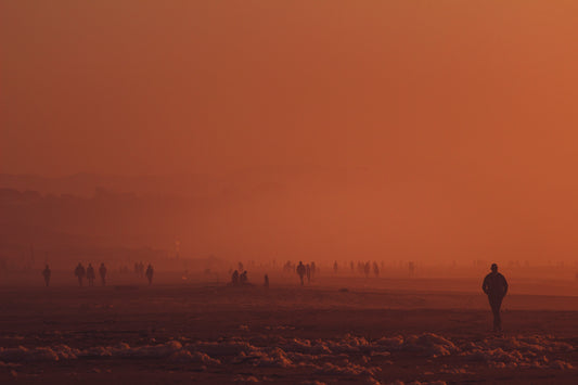 2049